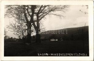 1942 Zágon, Zagon; Mikes Kelemen tölgyfái / the oak trees of Kelemen Mikes. photo (EK)