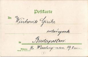 Amerikanisches Gespann, 2 Pferde der Hohen-Schule, Rennen zwischen Schnelläufer u. Pferd, Hunde-Wett...