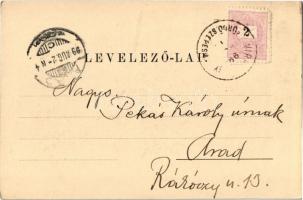 1899  Igló, Zipser Neudorf, Spisská Nová Ves;  látkép. Csetényi Emil kiadása / general view