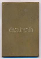 Ausztria / Bécs 1910. "Nagymamai odaadás" Br plakett. Szign.: Arnold Hartig (45x65mm) T:2
...