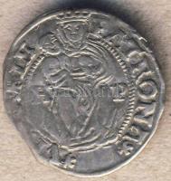 1552HP Denár Ag I. Fredinánd érdekes hátoldali verethibával! T:2