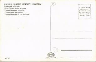 Székelyek a kútnál / Transylvanian folklore, at the well