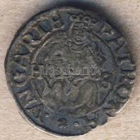 1575HS Denár Ag Miksa T:3+