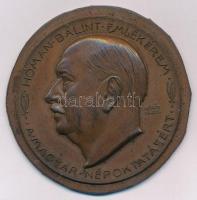 Berán Lajos (1882-1943) DN "Hóman Bálint Emlékérem - Magyar Népoktatásért" Br emlékérem (46mm) T:1-