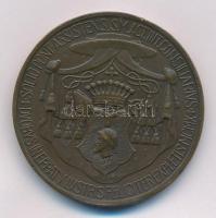 Berán Lajos (1882-1943) 1910. "Csáky Károly Emmánuel váci megyéspüspök" Br emlékérem (38,5...