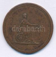 Nagy-Britannia ~1820-1830. token Cu "Columbia farthing" T:2,2- patina
United Kingdom ~182...