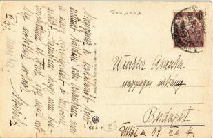 1922 Italian art postcard. Lady with Sighthound dog. Anna e Gasparini 624-1. s: Bompard - PERFORÁLT ...