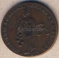 Ausztria cca 19.sz. vége Br "Fortuna" zseton T:2-/3+