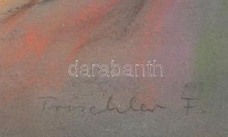 Trischler Ferenc (1945- ): Ülő hölgy virágokkal, pasztell, papír, jelzett, üvegezett fa keretben. Tr...