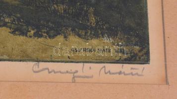 Csurgói Máté Lajos (1931-2001): Badacsonyi táj, színes rézkarc, papír, jelzett, üvegezett keretben. ...