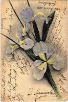 1904 Flower (EK)