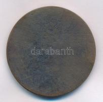 Murányi Gyula (1881-1920) 1910. "Mikszáth Kálmán" Br egyoldalas emlékérem (40mm) T:3 HP 36...