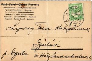 1911 French girl with umbrella, French flag. litho art postcard (fa)