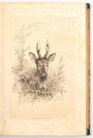 Raoul von Dombrowski: Aus dem Tagebuche eines Wildtödters. Jagdskizzen für Freunde des Waidwerkes un...