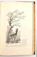 Raoul von Dombrowski: Aus dem Tagebuche eines Wildtödters. Jagdskizzen für Freunde des Waidwerkes un...