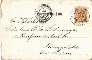 1898 Kaiserin Elisabeth / Erzsébet királyné (Sisi) / Empress Elisabeth of Austria. Fotografie aus de...