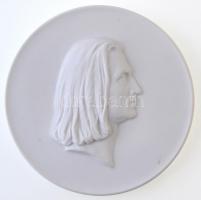 NDK DN A klasszikus német irodalom nemzeti kutatási és emlékhelyei Weimarban - Liszt Ferenc 1811-1886 meisseni porcelán plakett talppal (101mm) T:2 GDR ND Nationale Forschungs - und Gedenkstätten der klassischen deutschen Literatur in Weimar (National Research and Memorial Sites for Classic German Literature in Weimar) - Franz Liszt 1811-1886 Meissen porcelain plaque with holder (101mm) C:XF