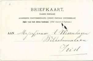 Gedelegeerden ter Vredesconferentie te 's-Gravenhage / Delegates at the Peace Conference in The...