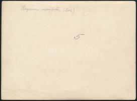 cca 1917 Osztrák.magyar légierői pilótái a perginei hangárban. Fotó / K.u.k. airforce hangar Peregin...