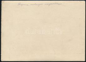 cca 1917 Osztrák.magyar légierői pilótái a perginei hangárban. Fotó / K.u.k. airforce hangar Peregin...