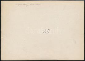 cca 1917 Osztrák.magyar légierői pilótái a dolinai hangárban. Fotó / K.u.k. airforce hangar Dolina w...