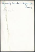 1941. szeptember, ,,Kinszki barátom bogarászik" Zacsek felvétele és általa feliratozott, aláírt...