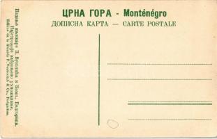 La guerre balkanique 1912-13. La prise de Skadar, Le roi Nikola recevont des mains du prince Héritie...