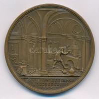 DN "Mária Terézia / A kémlészettan tanulmányi érme" Br emlékérem, a Selmecbányai Bányászat...