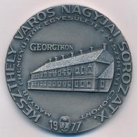 Képíró Zoltán (1944-1981) 1977. "MÉE Keszthely - Festetics György 1755-1819 / Keszthely Város N...