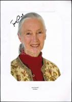 Jane Goodall etológus saját kezű aláírása fotón / etologist autograph signature on photo 13x18 cm
