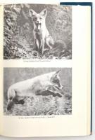 Heltay István: A róka ökológiája és vadászata. Bp.,1989, Mezőgazdasági, 175+1 p.+4 t. (fekete-fehér ...