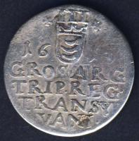 Erdély 1613. ezüstgaras Báthori Gábor T:3+/3 R!