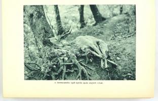 Nadler Herbert: Vadásznapok. Vadászévek. Elbeszélések és naplójegyzetek a szerző eredeti fényképeive...