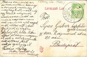 1914 Zamárdi, Balaton-Zamárdi;  fürdőtelep, vasúti pálya (EK)