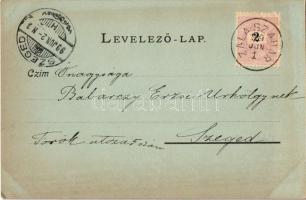 1899 Keszthely, Festetics kastély. Mérei Ignác kiadása 323