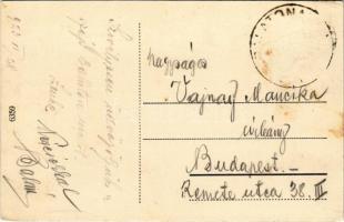 1923 Balatonaliga (Balatonvilágos), táj részlet, látkép (Rb)