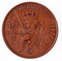 Fritz Mihály (1947-) 1994. "MÉE Székesfehérvár 1994, I. Ulászló / V. László" Br emlékérem ...