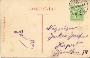 1911 Nagymaros, Felső Duna parti részlet, villa. 307. sz. J. Zoller (EK)