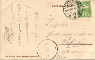 1910 Székesfehérvár, Vörösmarty tér. Robitsek Sándor kiadása 339. (EB)