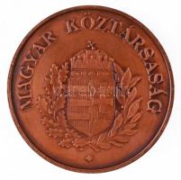 Csóka Zsuzsanna (1962-) 2004. "MÉE Bajai Csoport - Szt. István országa újra Európában" Br ...