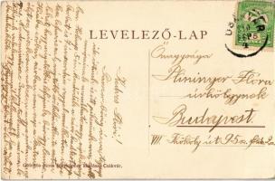 1910 Csákvár, Gróf Eszterházy kastély. Göbölös János fényképész kiadása