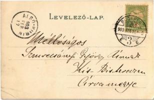 1903 Budapest II. Szent Lukács fürdő, Nymphea Thermalis tó. litho s: H.W. (EK)