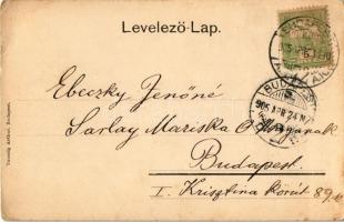 1905 Budapest V. Kossuth Lajos utca, villamos, üzletek, Pesti Magyar Kereskedelmi Bank. Taussig Arth...