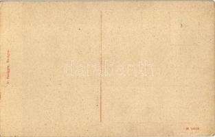 Rovinj, Rovigno; Arco di Balbi / arch, clock tower / Óratorony