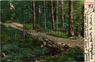 1914 Alsóhámor, Dolné Hámre (Hodrushámor, Hodrusa-Hámre); Erdő részlet Hodrus felé. Joerges 1908 / forest (EK)
