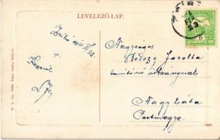 1914 Zsibó, Jibou; Báró Wesselényi kastély, kert. W. L. Bp. 7093. / castle and garden (fl)