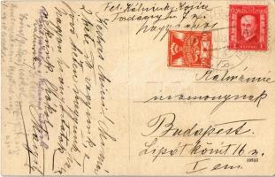 Vihnyefürdő, Kúpele Vyhnye; Huszágh-Gecsányi villa / villa  (Rb)