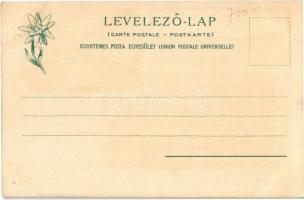 Igló, Zipser Neudorf, Spisská Nová Ves (Tátra, Szepes, Zips); Cs. k. Kassa-Oderbergi vasút nevelő és...