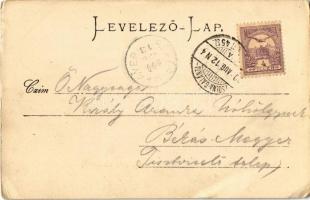 1900 Zsolnalitva, Ljetava, Lietava (Vágvölgy, Povazie); Hrad Lietava / vár / Das Waagtal, Ruine Ljet...