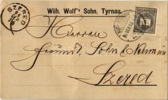 1894 Nagyszombat, Tyrnau, Trnava; Wilh. Wolf fia reklámlapja és hátoldalon megrendelőlap / Wilh. Wolf&#039;s Sohn / advertisement card. Oder form on the backside (EK)